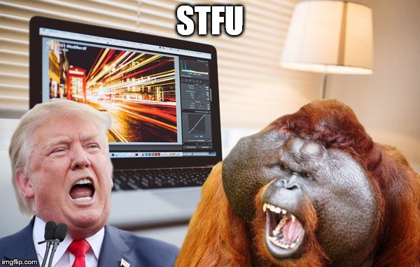 STFU | image tagged in trump 2016 | made w/ Imgflip meme maker