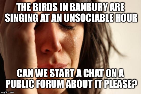 First World Problems Meme | THE BIRDS IN BANBURY ARE SINGING AT AN UNSOCIABLE HOUR; CAN WE START A CHAT ON A PUBLIC FORUM ABOUT IT PLEASE? | image tagged in memes,first world problems | made w/ Imgflip meme maker