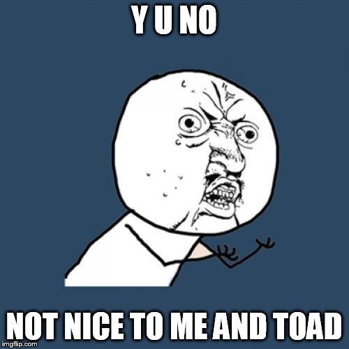Y U No Meme | Y U NO NOT NICE TO ME AND TOAD | image tagged in memes,y u no | made w/ Imgflip meme maker