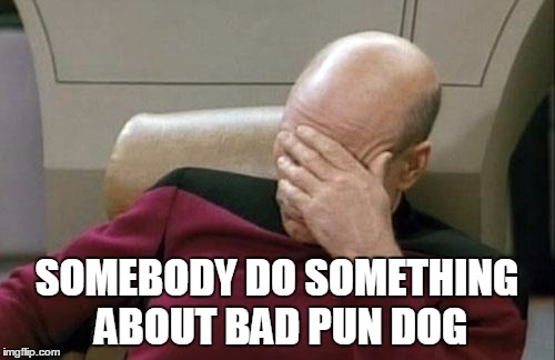 Captain Picard Facepalm Meme | SOMEBODY DO SOMETHING ABOUT BAD PUN DOG | image tagged in memes,captain picard facepalm | made w/ Imgflip meme maker