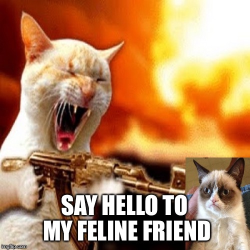 SAY HELLO TO MY FELINE FRIEND | made w/ Imgflip meme maker