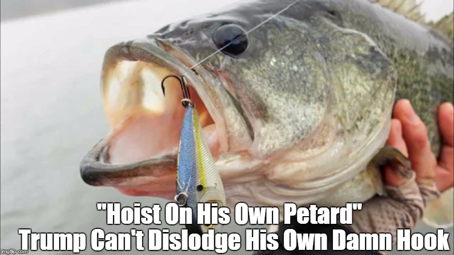 "Hoist On His Own Petard"      Trump Can't Dislodge His Own Damn Hook | made w/ Imgflip meme maker