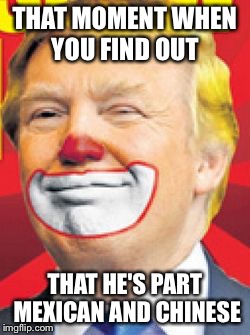 Donald Trump the Clown | THAT MOMENT WHEN YOU FIND OUT; THAT HE'S PART MEXICAN AND CHINESE | image tagged in donald trump the clown | made w/ Imgflip meme maker