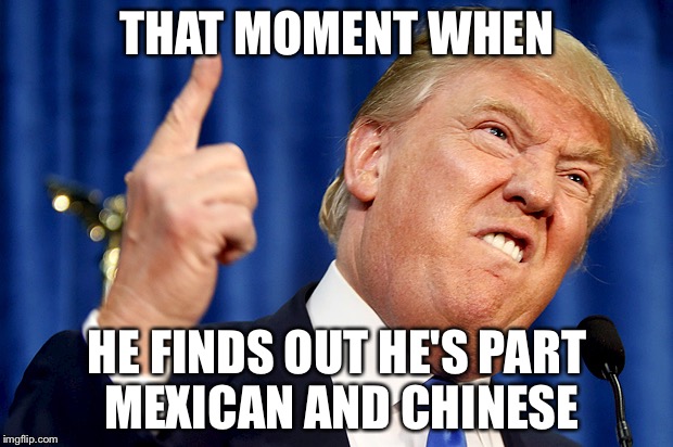 Donald Trump | THAT MOMENT WHEN; HE FINDS OUT HE'S PART MEXICAN AND CHINESE | image tagged in donald trump | made w/ Imgflip meme maker