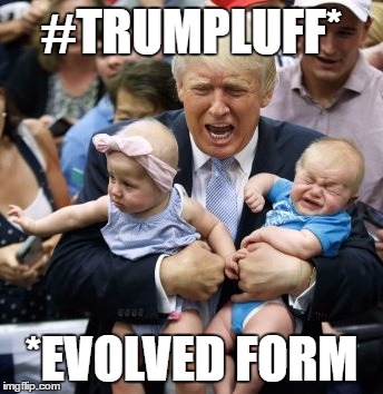 #TRUMPLUFF*; *EVOLVED FORM | image tagged in trump,pokemon | made w/ Imgflip meme maker