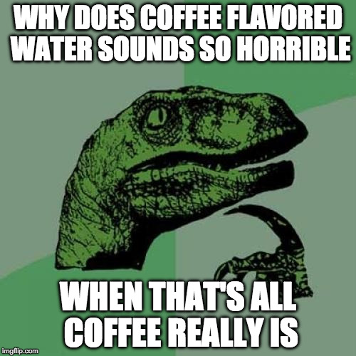 Philosoraptor | WHY DOES COFFEE FLAVORED WATER SOUNDS SO HORRIBLE; WHEN THAT'S ALL COFFEE REALLY IS | image tagged in memes,philosoraptor | made w/ Imgflip meme maker