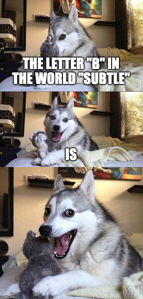 Bad Pun Dog Meme | THE LETTER "B" IN THE WORLD "SUBTLE"; IS | image tagged in memes,bad pun dog | made w/ Imgflip meme maker