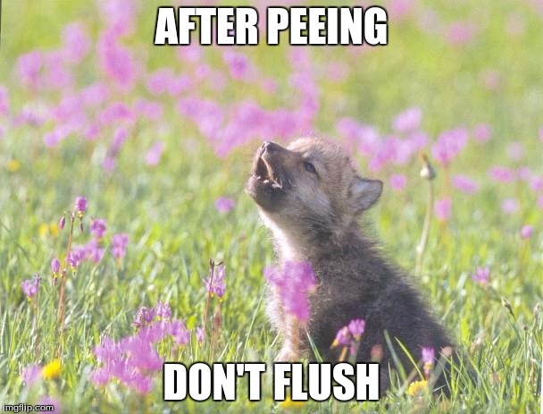 Baby Insanity Wolf | AFTER PEEING; DON'T FLUSH | image tagged in memes,baby insanity wolf | made w/ Imgflip meme maker