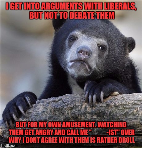 When you master the art of doing this, it is so much fun. Particularly on the internets. | I GET INTO ARGUMENTS WITH LIBERALS, BUT NOT TO DEBATE THEM; BUT FOR MY OWN AMUSEMENT. WATCHING THEM GET ANGRY AND CALL ME "____-IST" OVER WHY I DONT AGREE WITH THEM IS RATHER DROLL | image tagged in memes,confession bear | made w/ Imgflip meme maker