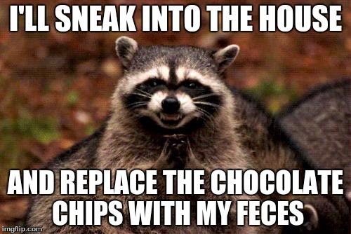 Evil Plotting Raccoon | I'LL SNEAK INTO THE HOUSE; AND REPLACE THE CHOCOLATE CHIPS WITH MY FECES | image tagged in memes,evil plotting raccoon | made w/ Imgflip meme maker