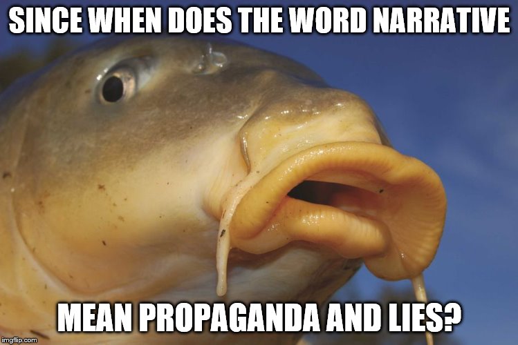 Carp | SINCE WHEN DOES THE WORD NARRATIVE; MEAN PROPAGANDA AND LIES? | image tagged in carp,philosoraptor,memes,animal,fish | made w/ Imgflip meme maker