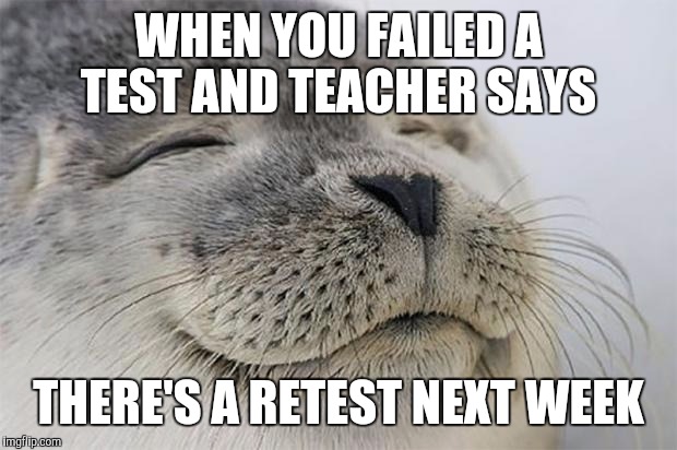 Satisfied Seal Meme | WHEN YOU FAILED A TEST AND TEACHER SAYS; THERE'S A RETEST NEXT WEEK | image tagged in memes,satisfied seal | made w/ Imgflip meme maker