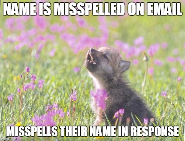 Baby Insanity Wolf | NAME IS MISSPELLED ON EMAIL; MISSPELLS THEIR NAME IN RESPONSE | image tagged in memes,baby insanity wolf,AdviceAnimals | made w/ Imgflip meme maker