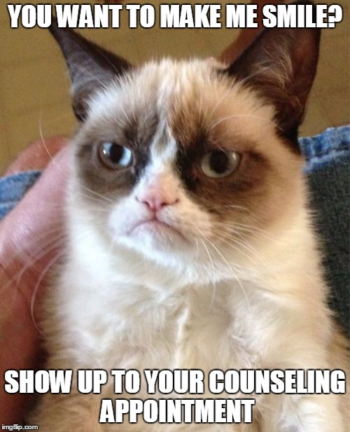 Grumpy Cat Meme | YOU WANT TO MAKE ME SMILE? SHOW UP TO YOUR COUNSELING APPOINTMENT | image tagged in memes,grumpy cat | made w/ Imgflip meme maker