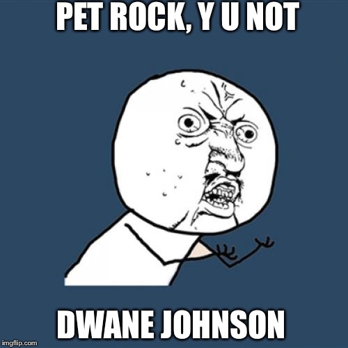 Y U No | PET ROCK, Y U NOT; DWANE JOHNSON | image tagged in memes,y u no | made w/ Imgflip meme maker