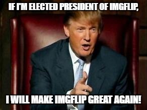 I will restore the downvote button... the best part of imgflip. ;) | IF I'M ELECTED PRESIDENT OF IMGFLIP, I WILL MAKE IMGFLIP GREAT AGAIN! | image tagged in donald trump,memes,funny | made w/ Imgflip meme maker