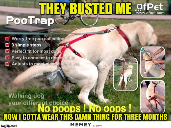 THEY BUSTED ME NOW I GOTTA WEAR THIS DAMN THING FOR THREE MONTHS | made w/ Imgflip meme maker