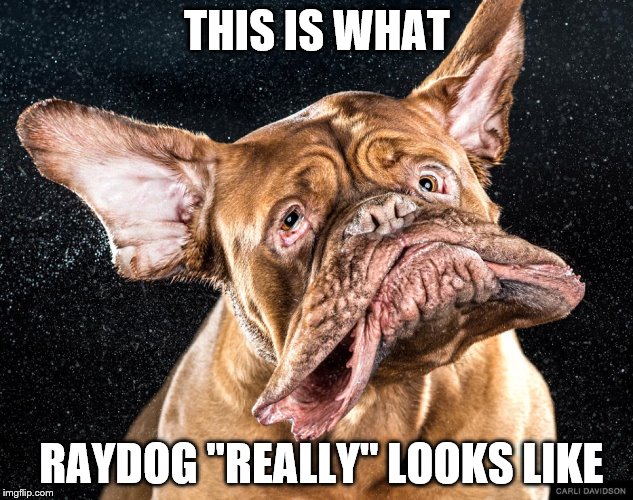 Raydog | THIS IS WHAT; RAYDOG "REALLY" LOOKS LIKE | image tagged in raydog | made w/ Imgflip meme maker