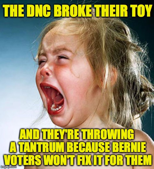 Seems reasonable | THE DNC BROKE THEIR TOY; AND THEY'RE THROWING A TANTRUM BECAUSE BERNIE VOTERS WON'T FIX IT FOR THEM | image tagged in screaming child large,hillary,democrats,bernie | made w/ Imgflip meme maker