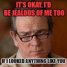 Hehe It's okay, no really | IT'S OKAY, I'D BE JEALOUS OF ME TOO; IF I LOOKED ANYTHING LIKE YOU | image tagged in my face when someone asks a stupid question,funny memes,why so serious,offended | made w/ Imgflip meme maker