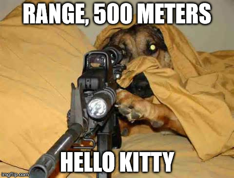 RANGE, 500 METERS HELLO KITTY | image tagged in sniper dog | made w/ Imgflip meme maker