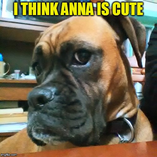 I THINK ANNA IS CUTE | made w/ Imgflip meme maker