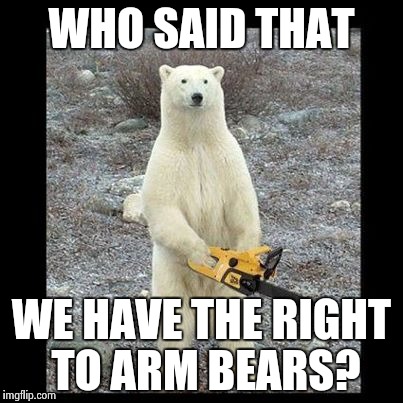 Chainsaw Bear Meme | WHO SAID THAT; WE HAVE THE RIGHT TO ARM BEARS? | image tagged in memes,chainsaw bear | made w/ Imgflip meme maker