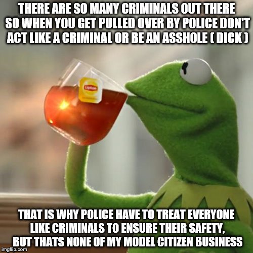 But That's None Of My Business | THERE ARE SO MANY CRIMINALS OUT THERE SO WHEN YOU GET PULLED OVER BY POLICE DON'T ACT LIKE A CRIMINAL OR BE AN ASSHOLE ( DICK ); THAT IS WHY POLICE HAVE TO TREAT EVERYONE LIKE CRIMINALS TO ENSURE THEIR SAFETY, BUT THATS NONE OF MY MODEL CITIZEN BUSINESS | image tagged in memes,but thats none of my business,kermit the frog | made w/ Imgflip meme maker