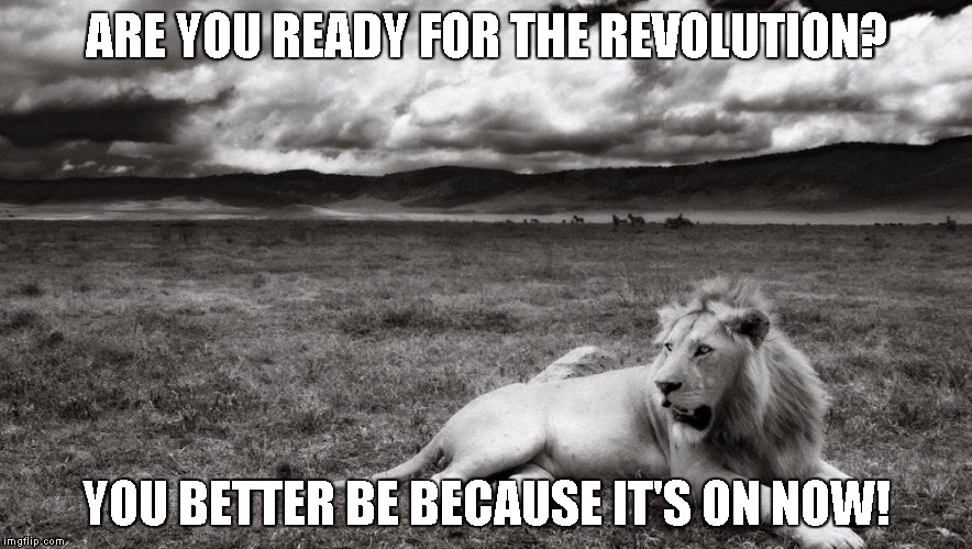 ARE YOU READY FOR THE REVOLUTION? YOU BETTER BE BECAUSE IT'S ON NOW! | image tagged in leo | made w/ Imgflip meme maker