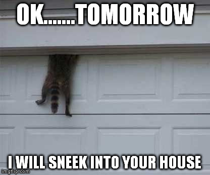 OK.......TOMORROW I WILL SNEEK INTO YOUR HOUSE | made w/ Imgflip meme maker