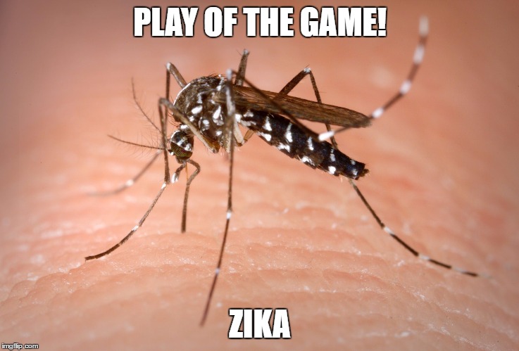 mosquito  | PLAY OF THE GAME! ZIKA | image tagged in mosquito | made w/ Imgflip meme maker