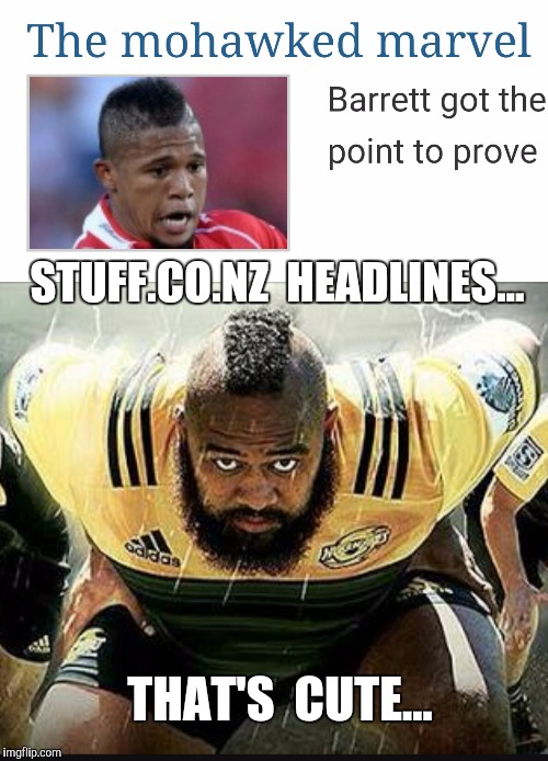 Tongan Bear | STUFF.CO.NZ  HEADLINES... THAT'S  CUTE... | image tagged in rugby,sport,finals,hair | made w/ Imgflip meme maker