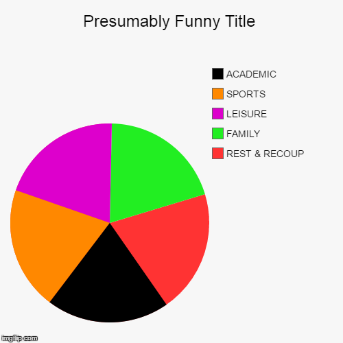 image tagged in funny,pie charts | made w/ Imgflip chart maker