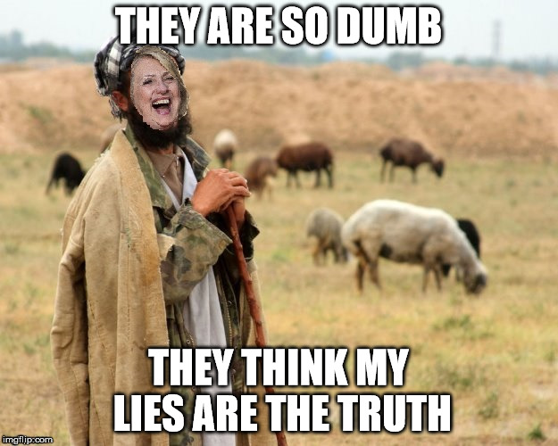 Hillary Sheep Herder | THEY ARE SO DUMB; THEY THINK MY LIES ARE THE TRUTH | image tagged in hillary sheep herder | made w/ Imgflip meme maker