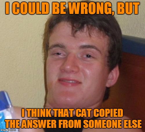 10 Guy Meme | I COULD BE WRONG, BUT I THINK THAT CAT COPIED THE ANSWER FROM SOMEONE ELSE | image tagged in memes,10 guy | made w/ Imgflip meme maker