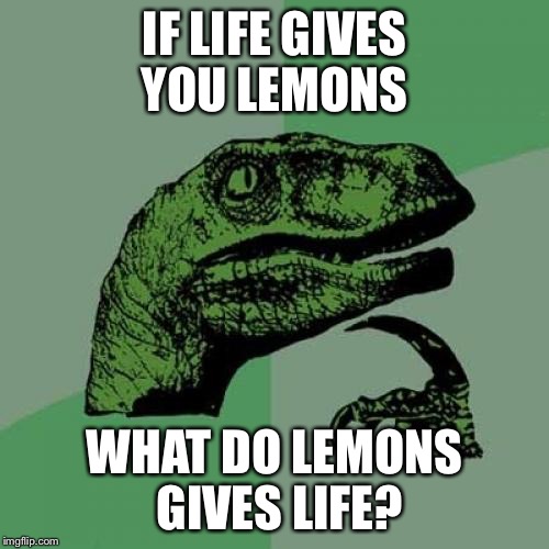 The gift of giving | IF LIFE GIVES YOU LEMONS; WHAT DO LEMONS GIVES LIFE? | image tagged in memes,philosoraptor,when lif gives you lemons,mystery,original meme | made w/ Imgflip meme maker