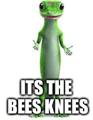 Geico Gecko | ITS THE BEES KNEES | image tagged in geico gecko | made w/ Imgflip meme maker