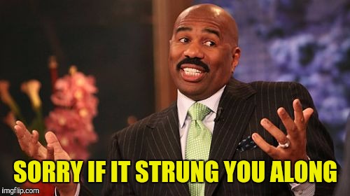 Steve Harvey Meme | SORRY IF IT STRUNG YOU ALONG | image tagged in memes,steve harvey | made w/ Imgflip meme maker