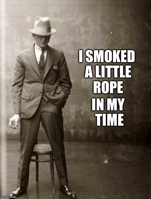 Government Agent Man | I SMOKED A LITTLE ROPE IN MY TIME | image tagged in government agent man | made w/ Imgflip meme maker