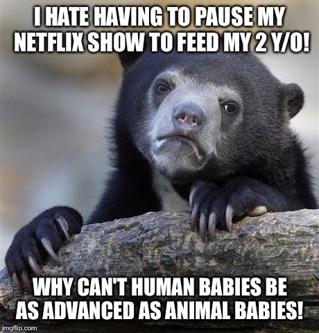 Confession Bear Meme | I HATE HAVING TO PAUSE MY NETFLIX SHOW TO FEED MY 2 Y/O! WHY CAN'T HUMAN BABIES BE AS ADVANCED AS ANIMAL BABIES! | image tagged in memes,confession bear | made w/ Imgflip meme maker