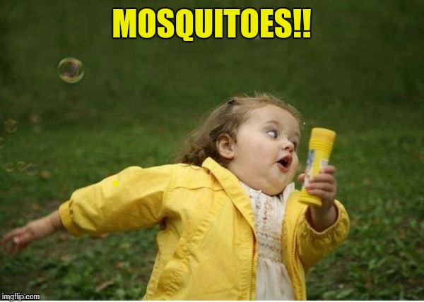 MOSQUITOES!! | image tagged in run | made w/ Imgflip meme maker
