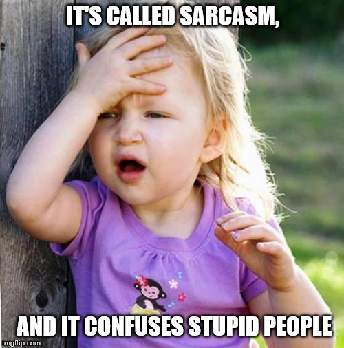 duh | IT'S CALLED SARCASM, AND IT CONFUSES STUPID PEOPLE | image tagged in duh | made w/ Imgflip meme maker