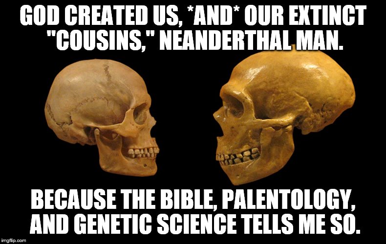 Neanderthal | GOD CREATED US, *AND* OUR EXTINCT "COUSINS," NEANDERTHAL MAN. BECAUSE THE BIBLE, PALENTOLOGY, AND GENETIC SCIENCE TELLS ME SO. | image tagged in creation | made w/ Imgflip meme maker