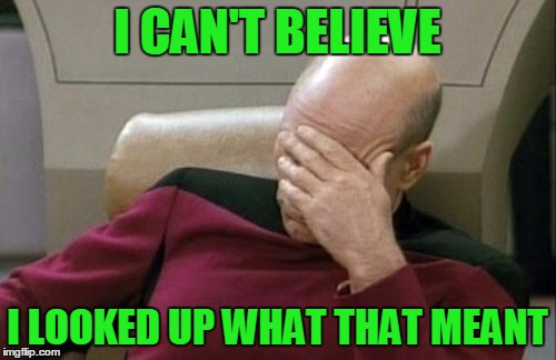 Captain Picard Facepalm Meme | I CAN'T BELIEVE I LOOKED UP WHAT THAT MEANT | image tagged in memes,captain picard facepalm | made w/ Imgflip meme maker