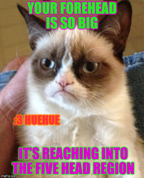 Grumpy Cat | YOUR FOREHEAD IS SO BIG; :3 HUEHUE; IT'S REACHING INTO THE FIVE HEAD REGION | image tagged in memes,grumpy cat | made w/ Imgflip meme maker