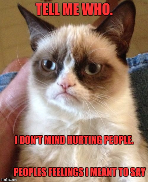 Grumpy Cat Meme | TELL ME WHO. I DON'T MIND HURTING PEOPLE.             






                                             PEOPLES FEELINGS I MEANT TO SAY | image tagged in memes,grumpy cat | made w/ Imgflip meme maker