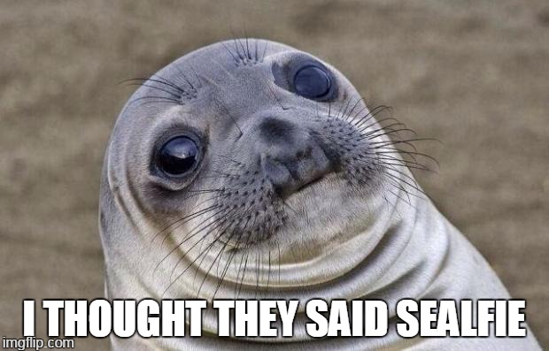 big big big mistake so big | I THOUGHT THEY SAID SEALFIE | image tagged in memes,awkward moment sealion | made w/ Imgflip meme maker