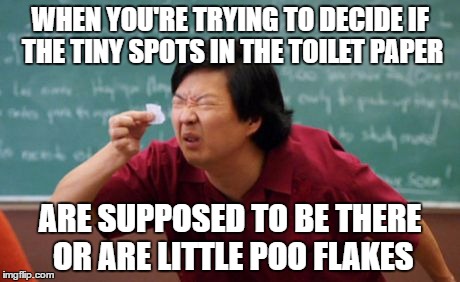 Every Time | WHEN YOU'RE TRYING TO DECIDE IF THE TINY SPOTS IN THE TOILET PAPER; ARE SUPPOSED TO BE THERE OR ARE LITTLE POO FLAKES | image tagged in post for ants asian,funny,memes,toilet paper,poop,relatable | made w/ Imgflip meme maker