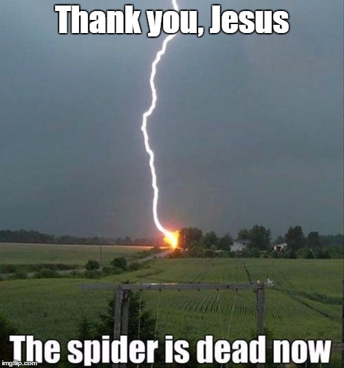 Arachnophobia | Thank you, Jesus | image tagged in memes | made w/ Imgflip meme maker