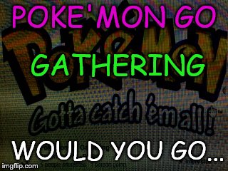 Poke'Mon Go Gathering, together in real time, as groups.  Increase the force behind us by working together and getting along. | POKE'MON GO; GATHERING; WOULD YOU GO... | image tagged in poke'mon,gathering,go,catch,all | made w/ Imgflip meme maker